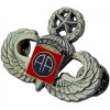 82nd Airborne Oxidized Master Jump Wing Military Insignia Badge US