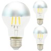 Diodesy- Half Chrome Dimmable LED Light Bulb A19 Round Shape