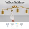 6 Light Track Lighting Gold Track Lighting Fixtures Ceiling LED