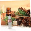 CIYODO 30pcs 3ml Essential Oil Bottles Oil Dispenser Bottles for