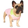 iChoue French Bulldog Summer Cooling Shirt for Dogs UV Sun