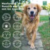 Menforsan Shampoing pour animaux de compagnie Menforsan Chien Aloe Vera