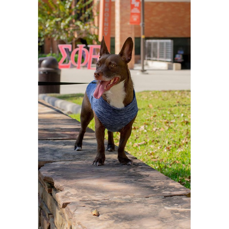 Gooby 72116-WGRY-M Fleece Dog Vest with Zip, Grey, Medium