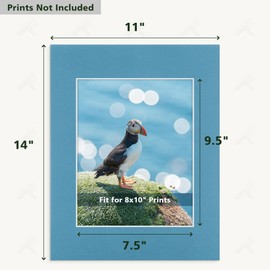 Golden State Art, Pack of 10, 11x14 Mix Color Picture Mats with White Core Bevel Edge for 8x10 Pictures - 4 Ply Thickness