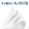 Dove Foam Body Wash, Premium Moisture Care, Refill, 12.8 oz