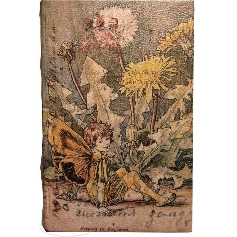 Vintage Fairy Book Box Leather Over Wood Secret Storage Box