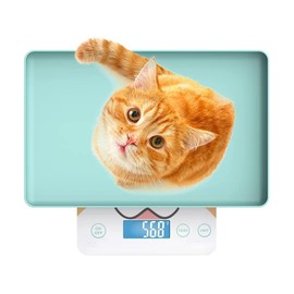 MINDPET-MED Cute Scale, Digital Pet Scale for Small Animal, Whelping Scale,Mini Precision Gram Weight Balance Scale, High Precision ±0.03oz,Blue,Suitable for Newborn Pets