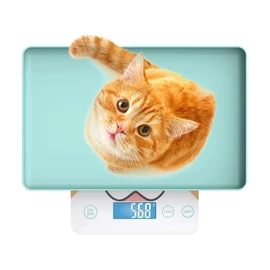 MINDPET-MED Cute Scale, Digital Pet Scale for Small Animal, Whelping Scale,Mini Precision Gram Weight Balance Scale, High Precision ±0.03oz,Blue,Suitable for Newborn Pets