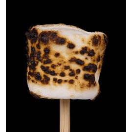 100 15cm Bamboo Teppo Gushi Japanese Skewers Gun Shaped