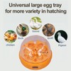 15W Egg Incubator 6 Eggs Digital Mini Fully Automatic Egg