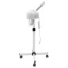 Professional Facial Steamer Ozone Beauty Salon Clean Skin Skin Care