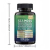 Sea Moss Black Seed Oil Ashwagandha Turmeric Bladderwrack Burdock 2000mg