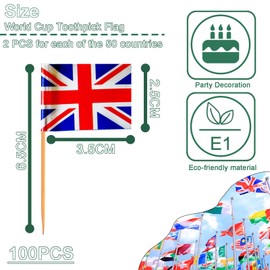 Pack of 100 International Toothpicks Flags Cocktail Stick Flags, 50 Countries World Flags Flag Toothpicks Small Flags for Country Party Cakes Women's Football Euro Vision 2025 World Cup Bar Party