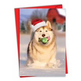 NobleWorks Holiday Dog Mouth - Merry Christmas Greeting Card with Envelope (4.63 x 6.75 Inch) - Dog Mouthful of Ornaments C3380XSG