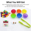 62 pcs/set Kids Rainbow Counting Bear Toys Educational Cognition Matching