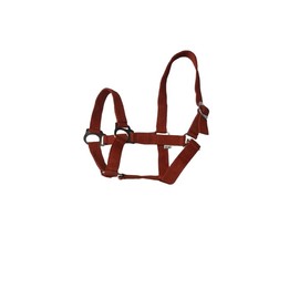 Extra SAtrong Equine NEW Horse Cob Pony headcollars halter Nylon - Light Caramel (X Full)
