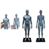 Human Body Musculoskeletal Anatomical Model for Study and Teaching (30CM4)