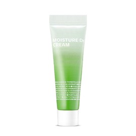 Isoi Moisture Doctor Cream (Longevity Moisture Cream) 45ml / 아이소이 모이스춰 닥터 크림(장수진수분크림) 45ml