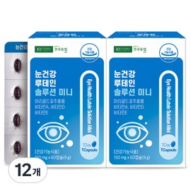 Konkuk Dairy Eye Health Lutein Solution Mini 9g, 60 tablets, 12 ea / 건국유업 눈건강 루테인 솔루션 미니 9g, 60정, 12개
