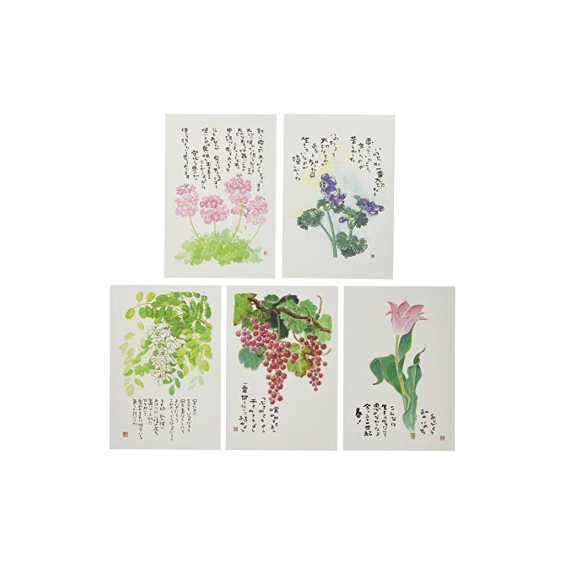Tomihiro Hoshino No. 1205 Picture Postcards, 5 Piece Select Series