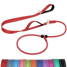 Joytale Tangle-Free Slip Lead for Dogs, 1.8m Slip Lead with Double Padded Handle, Anti Pull Training Leash for Puppy Small Medium Dogs(6-18 KG), Red