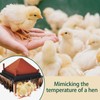 6.5FT Feathers for Chick Brooder Heating Plate, Cuttable Feather are