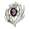 Scottish Thistle & Amethyst Stone Brooch Pin
