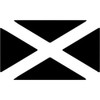 A4 'Scottish Flag' Wall Stencil/Template (WS00050458)