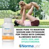 NormaLyte Electrolyte Capsules, 100 Count, Hydration Salt Pills