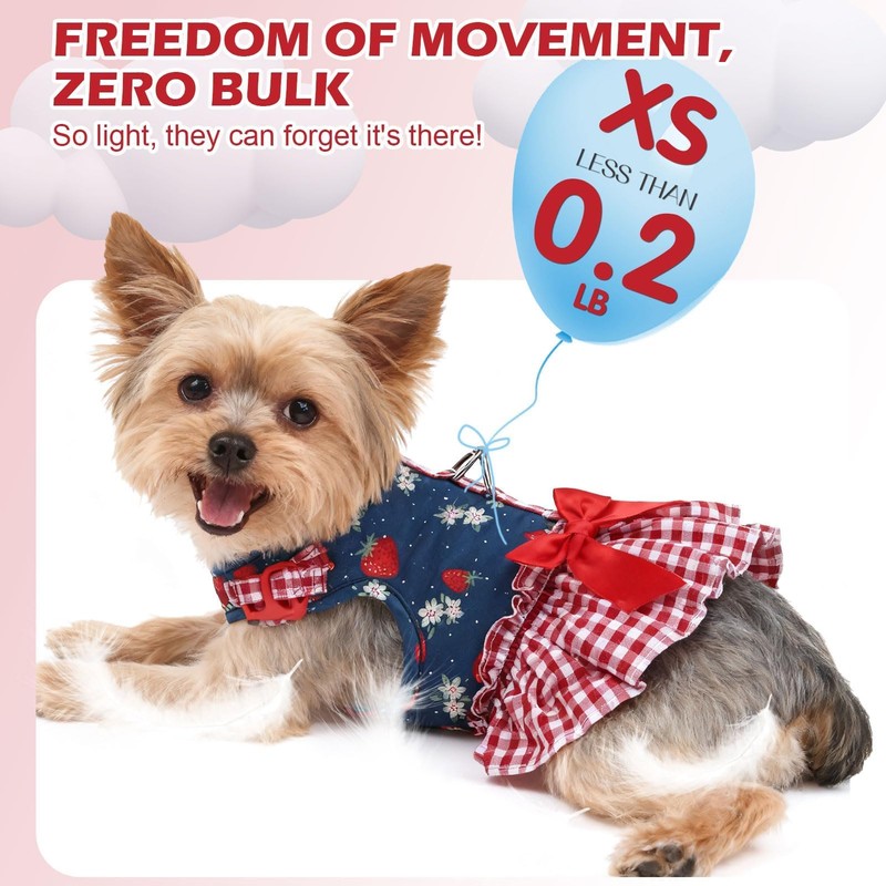 EXPAWLORER Dog Harness Small Medium Sized Dogs, No Choke No