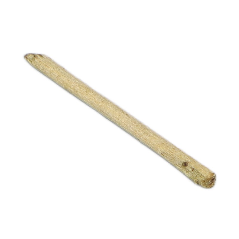50pcs Tea Stem Stud Earrings Prevent Inflammation Tea Rod Curing