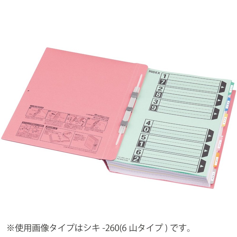 Kokuyo Shiki-260 File Index Divider Cards, Color, 6 Slots, Gabat/Back