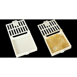 Diverse Lieferanten Queens Scalvini Spearer Cage