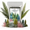 Gardenera Evergreen Fertilizer – All-Purpose Granular Plant Food for Outdoor