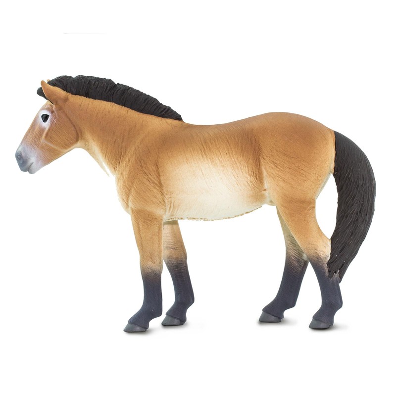 Safari Ltd. Przewalski's Horse Figurine - Lifelike 5" Horse Figure