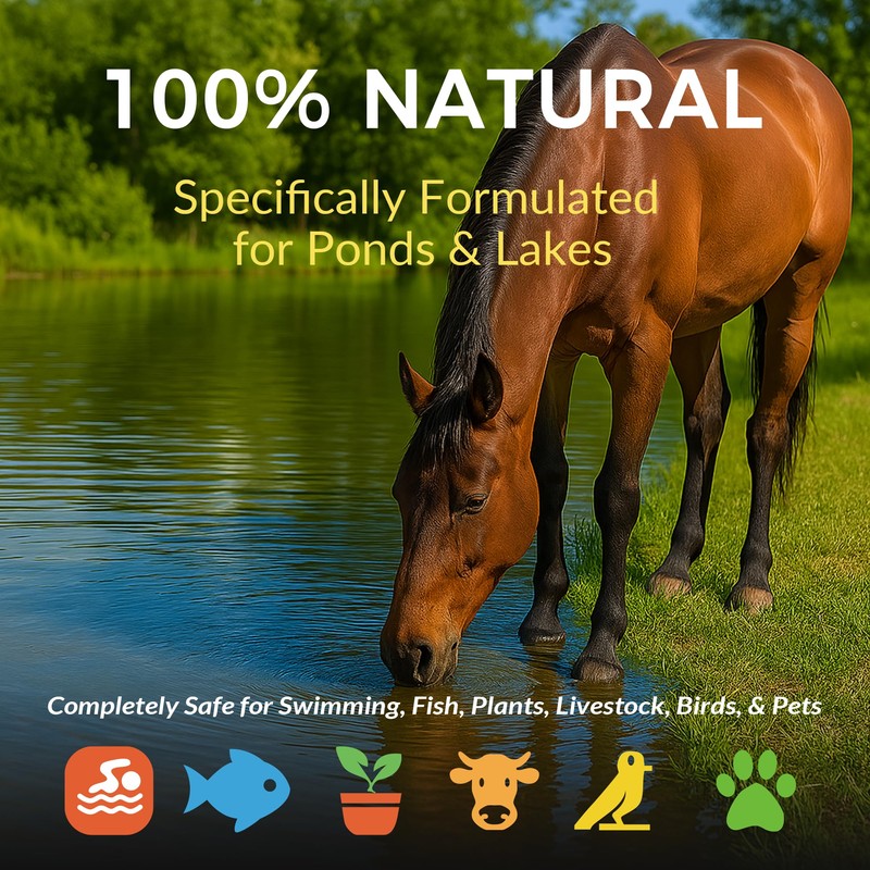 ActiClear Muck Clear - 5LB Beneficial Bacteria for Ponds &