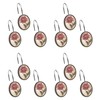 Popular Bath Shower Curtain Hooks, Larrisa Collection, Set of 12,