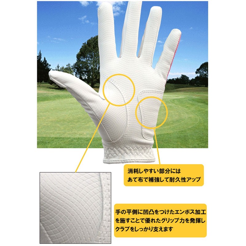 LEZAX Women's Nicotera Ambidextrous Golf Glove Black Medium NTGL-3407