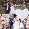1 Inch White Lvory Round Wedding Biodegradable Tissue Paper Confetti,