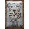 Deko 7 Tin Sign American Short Hair Cat 30 x 20 cm