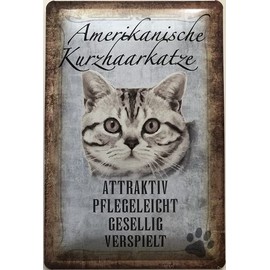 Deko 7 Tin Sign American Short Hair Cat 30 x 20 cm