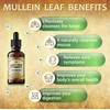 HERBALICIOUS Mullein Drops for Lungs – Organic Lung Cleanse Supplement