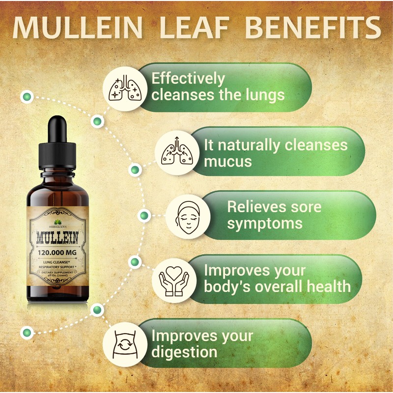 HERBALICIOUS Mullein Drops for Lungs – Organic Lung Cleanse Supplement