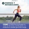 Lipo Brn Innoslim Theobromina Y Carnitina Newmanity 200 Caps Sin