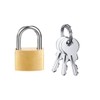 Eleqldwen 12 Pack Mini Padlock Small Padlock Solid Brass Locks