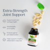 Glucosamine Chondroitin Sulfate MSM Curcumin - Joint Supplement with Hyaluronic