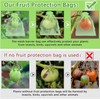 100 Pcs Fruit Protection Bags, 3 Sizes Fruit Netting Bags