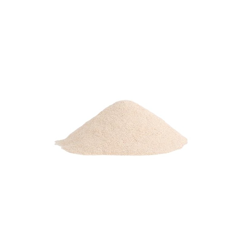 Fancy Pets MS Probiótico para Perros 90g