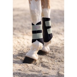 LeMieux Grafter Boots - Highly Durable - Soft Binding Edge - Soft, Lightweight & Breathable - New Strike Guard Design - Suitable for Front & Hind Legs - Two or Three Straps - Jay Blue - Large