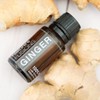 Nature's Fusions Ginger Root, 100% Pure and Natural Essential Oils,